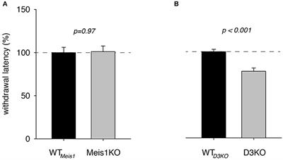 Differential Dopamine D1 and D3 Receptor Modulation and Expression in the Spinal Cord of Two Mouse Models of Restless Legs Syndrome